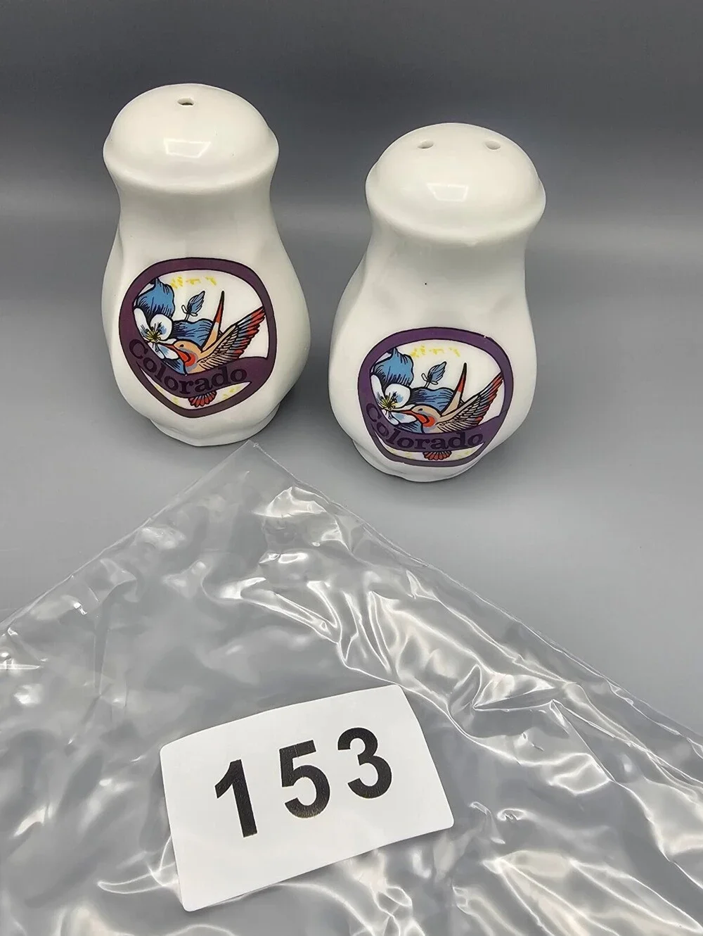 Ceramic Colorado Souvenir Salt and Pepper Shakers